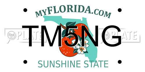 TM5NG Florida License Plate