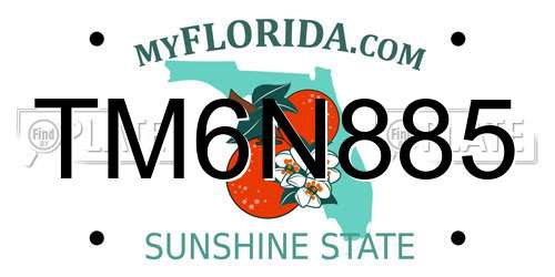 TM6N885 Florida License Plate