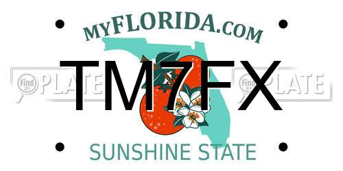 TM7FX Florida License Plate