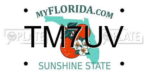 TM7UV Florida License Plate