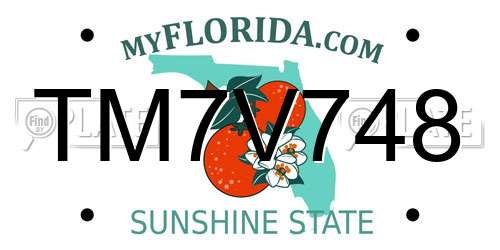 TM7V748 Florida License Plate