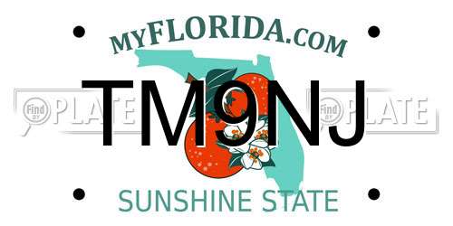 TM9NJ Florida License Plate