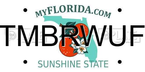 TMBRWUF Florida License Plate