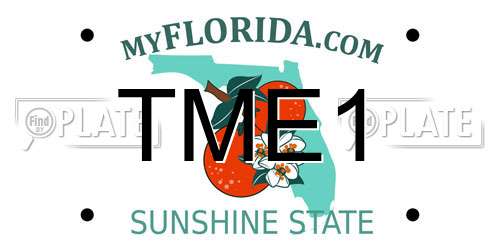 TME1 Florida License Plate