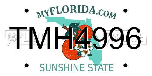 TMH4996 Florida License Plate