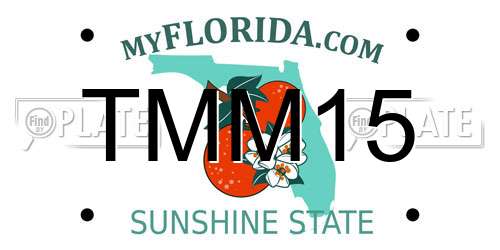TMM15 Florida License Plate