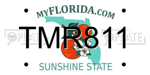 TMR811 Florida License Plate