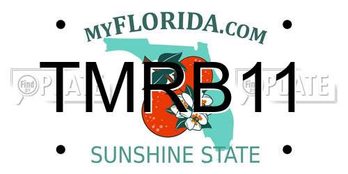 TMRB11 Florida License Plate