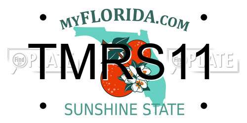 TMRS11 Florida License Plate
