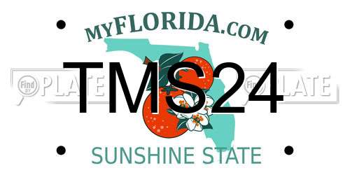 TMS24 Florida License Plate
