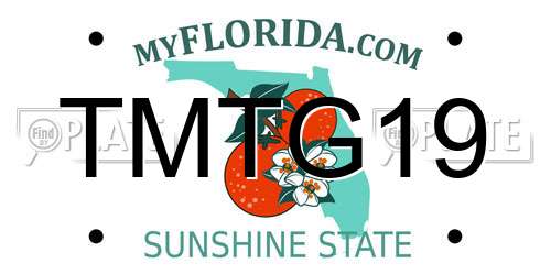 TMTG19 Florida License Plate