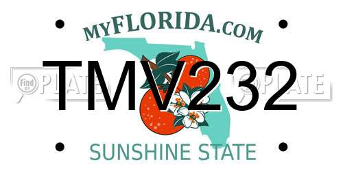 TMV232 Florida License Plate