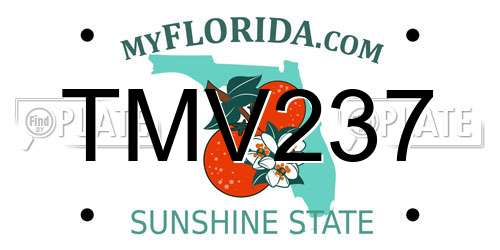TMV237 Florida License Plate