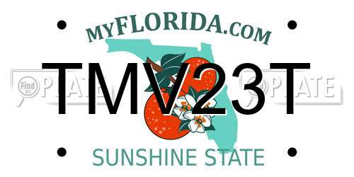 TMV23T Florida License Plate