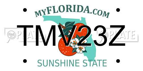 TMV23Z Florida License Plate