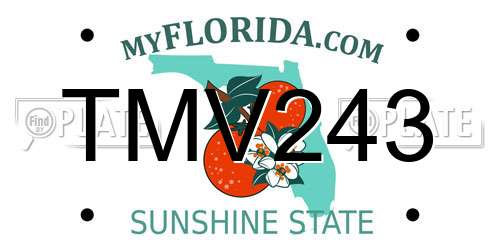TMV243 Florida License Plate