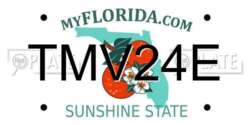 TMV24E Florida License Plate