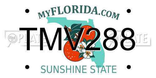 TMV288 Florida License Plate