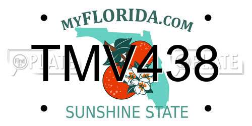 TMV438 Florida License Plate
