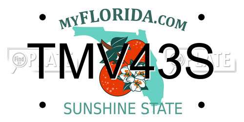 TMV43S Florida License Plate