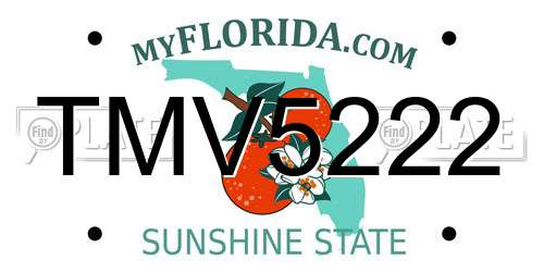 TMV5222 Florida License Plate