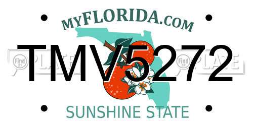 TMV5272 Florida License Plate