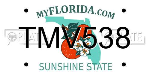 TMV538 Florida License Plate