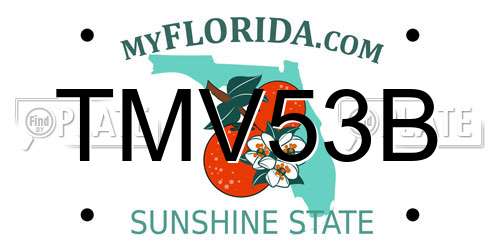 TMV53B Florida License Plate