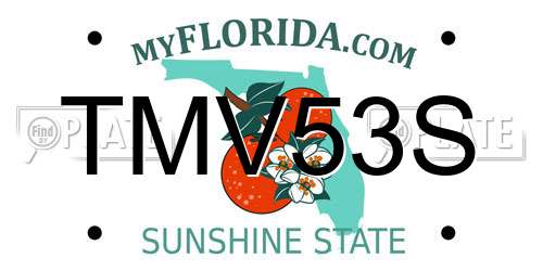 TMV53S Florida License Plate