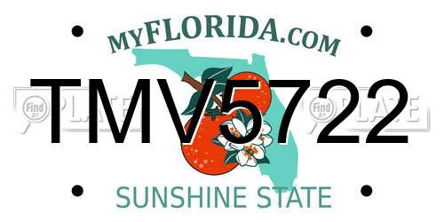 TMV5722 Florida License Plate