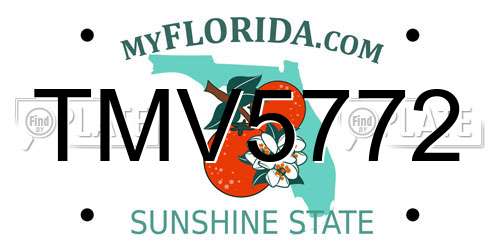TMV5772 Florida License Plate