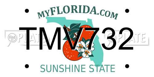 TMV732 Florida License Plate
