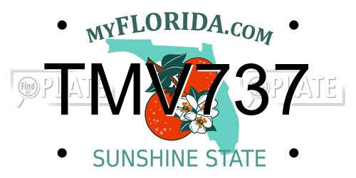 TMV737 Florida License Plate