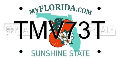 TMV73T Florida License Plate
