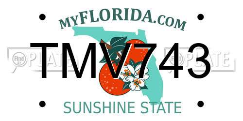 TMV743 Florida License Plate