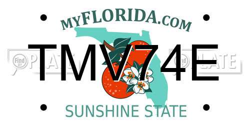 TMV74E Florida License Plate