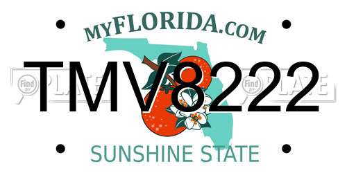 TMV8222 Florida License Plate