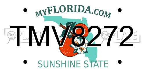 TMV8272 Florida License Plate