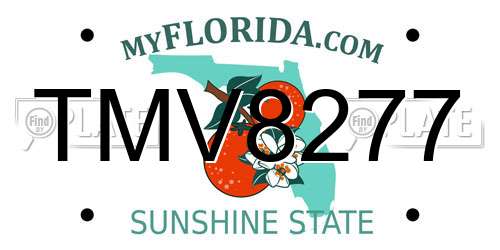 TMV8277 Florida License Plate