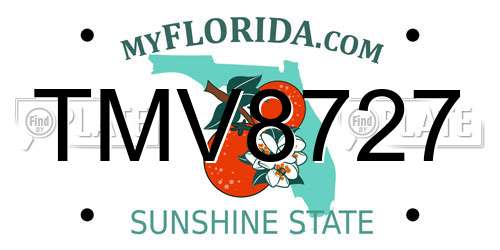 TMV8727 Florida License Plate
