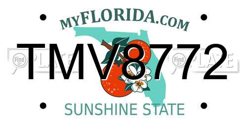 TMV8772 Florida License Plate