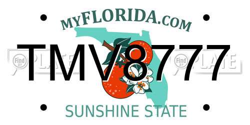 TMV8777 Florida License Plate