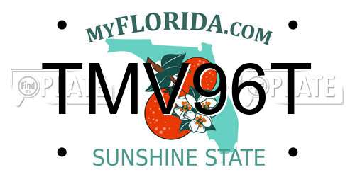 TMV96T Florida License Plate