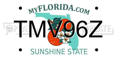 TMV96Z Florida License Plate