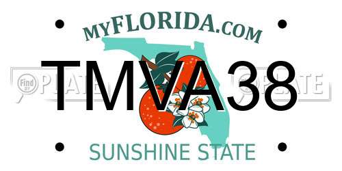TMVA38 Florida License Plate
