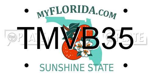 TMVB35 Florida License Plate