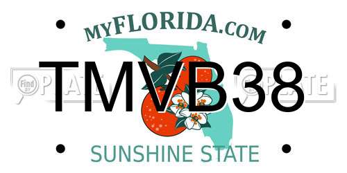 TMVB38 Florida License Plate