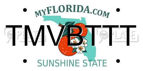 TMVBTTT Florida License Plate