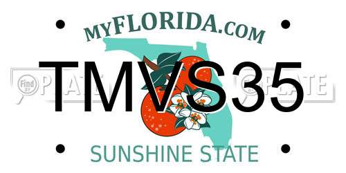 TMVS35 Florida License Plate