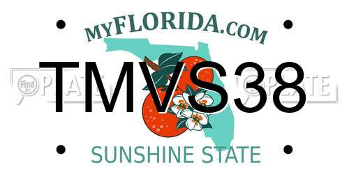 TMVS38 Florida License Plate